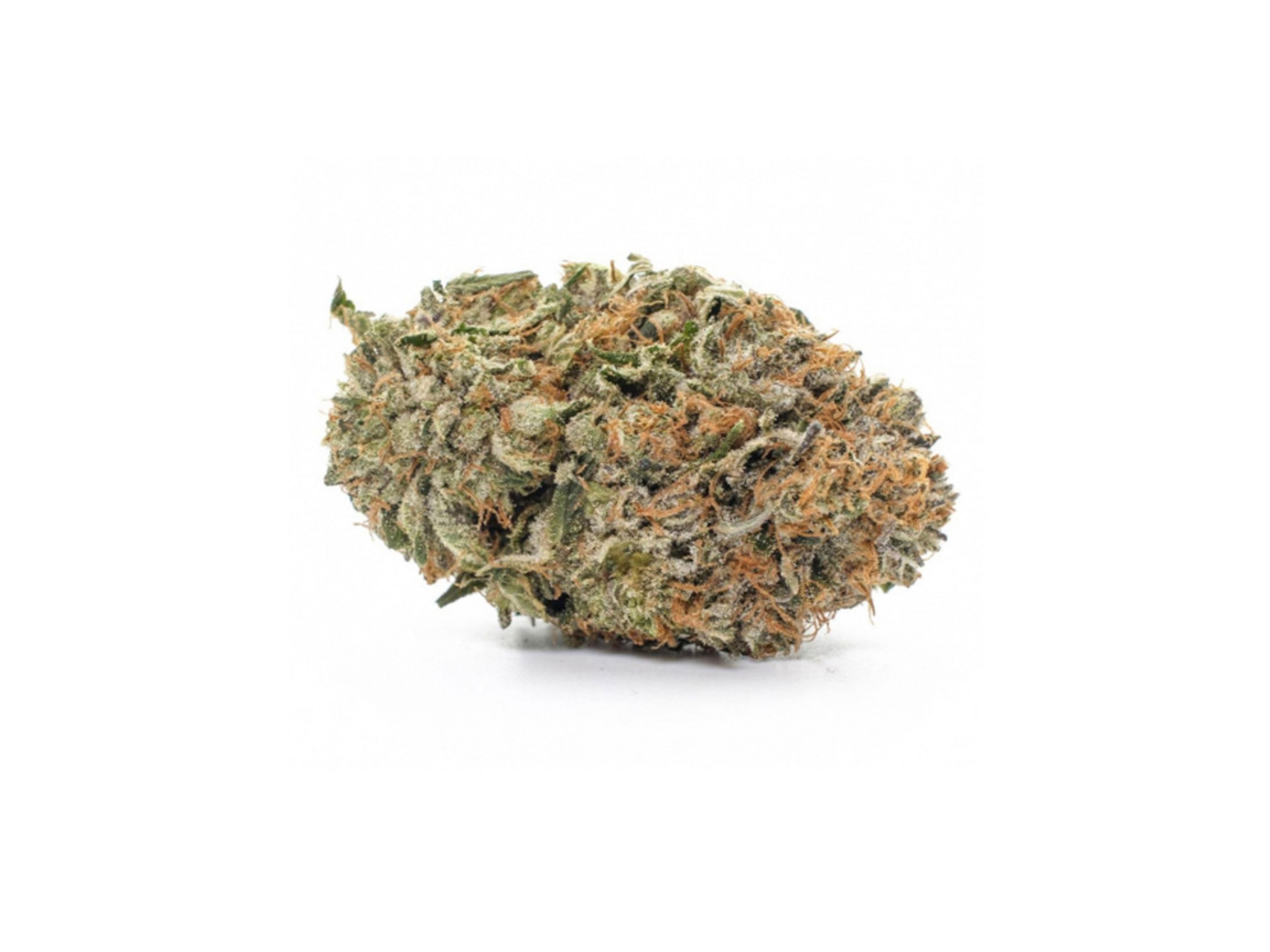 Gelato Marijuana Gelato Marijuana Strain