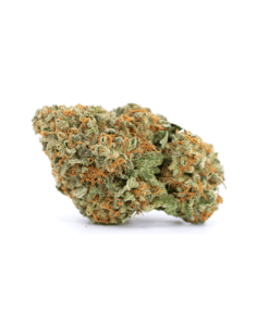 Wedding Cake cannabis